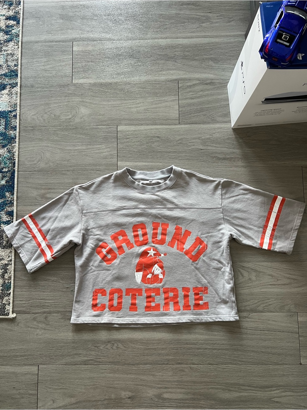 Ground Coterie Cropped Sweatshirt Tee
